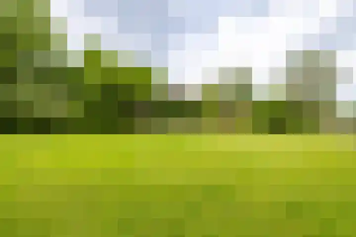 Kasselderstraat 11 Sinderen thumbnail 88