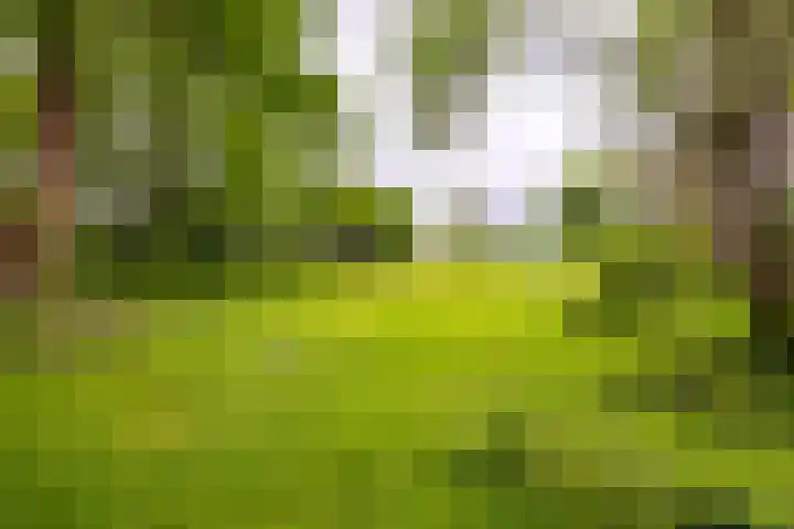 Kasselderstraat 11 Sinderen thumbnail 89