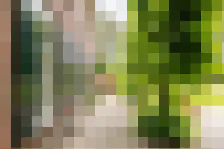Kasselderstraat 11 Sinderen thumbnail 91