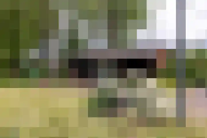 Kasselderstraat 11 Sinderen thumbnail 94