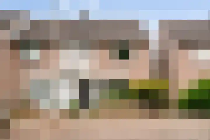 Kastanjelaan 17 in Halsteren