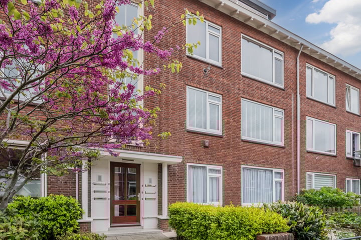 Kastanjelaan 25 in Rijswijk foto