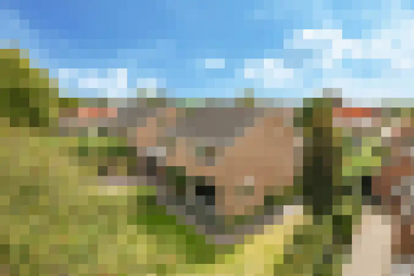 Kastanjelaan 25 b dans Heteren
