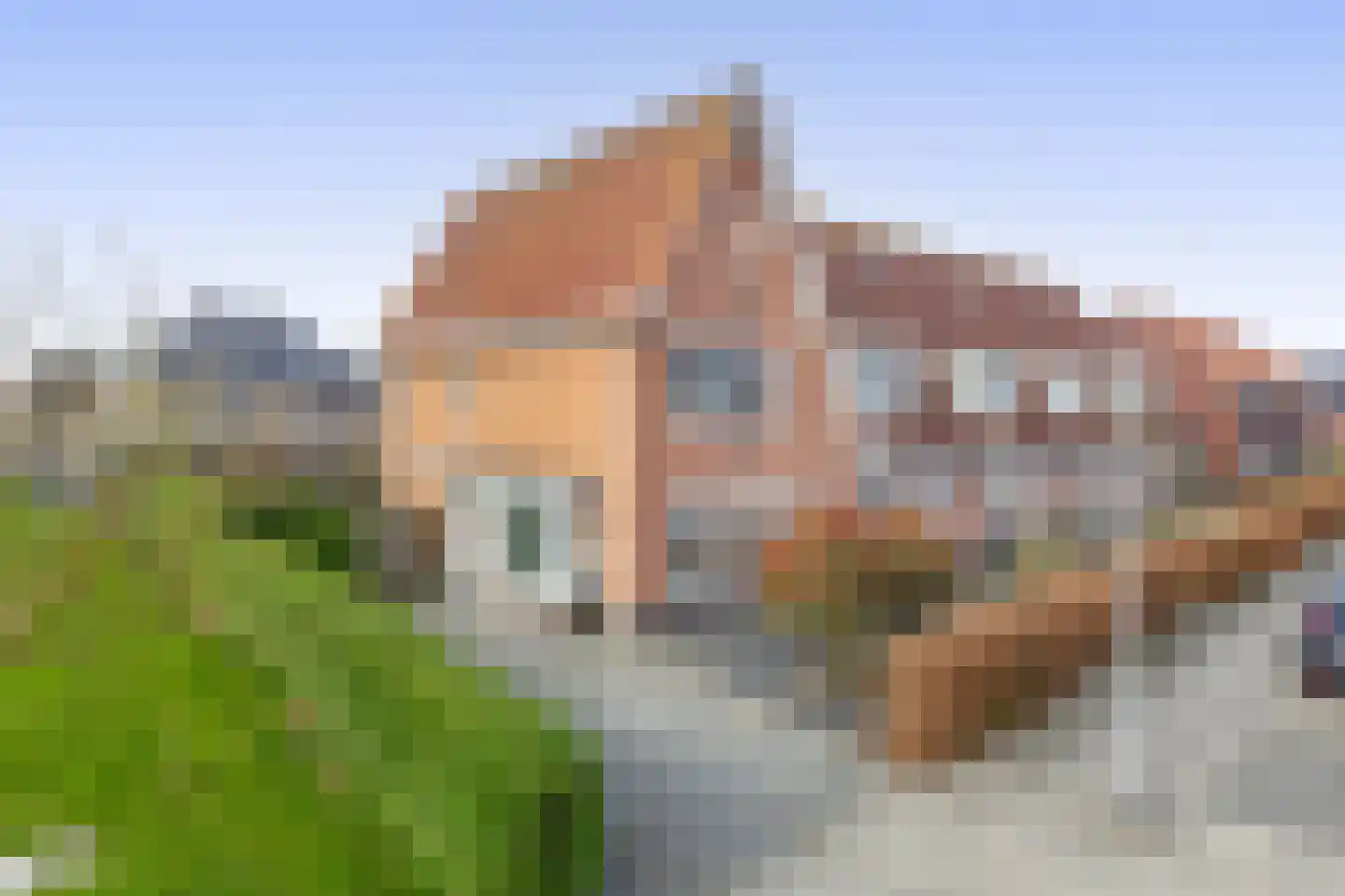 Kastanjeleane 78 in Lemmer