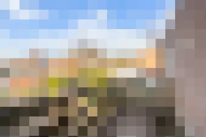 Kasteel 2 Huissen thumbnail 16