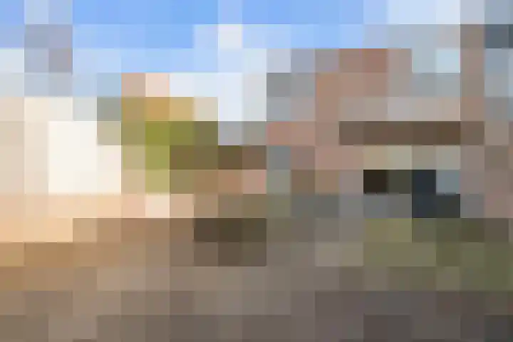 Kasteel 2 Huissen thumbnail 21