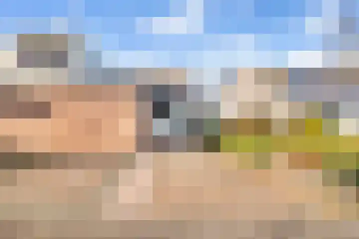 Kasteel 2 Huissen thumbnail 22