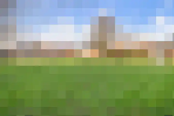 Kasteel 2 Huissen thumbnail 24