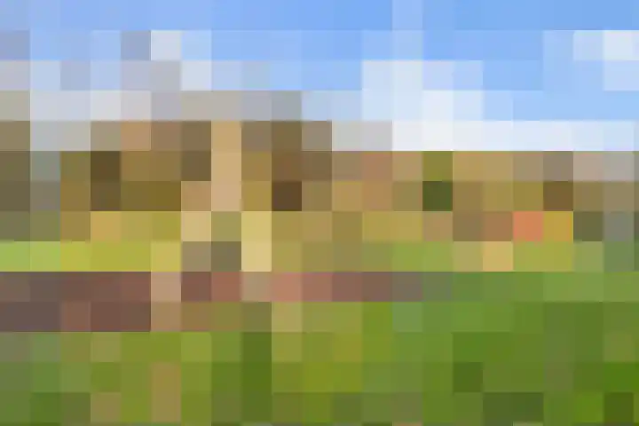 Kasteel 2 Huissen thumbnail 26