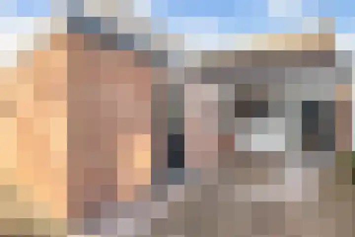 Kasteel 2 Huissen thumbnail 4