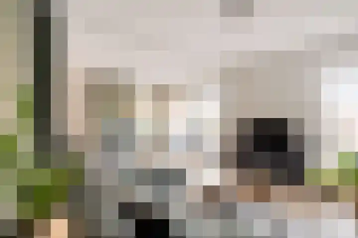 Kasteel 2 Huissen thumbnail 5