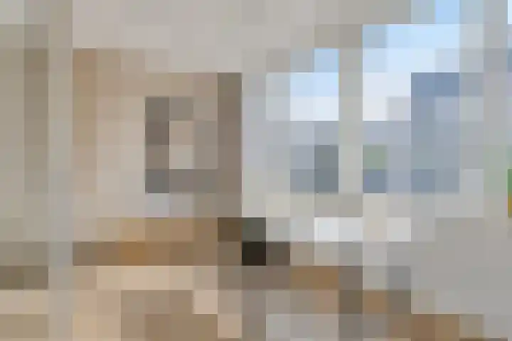 Kasteel-Traverse 112 Helmond thumbnail 14