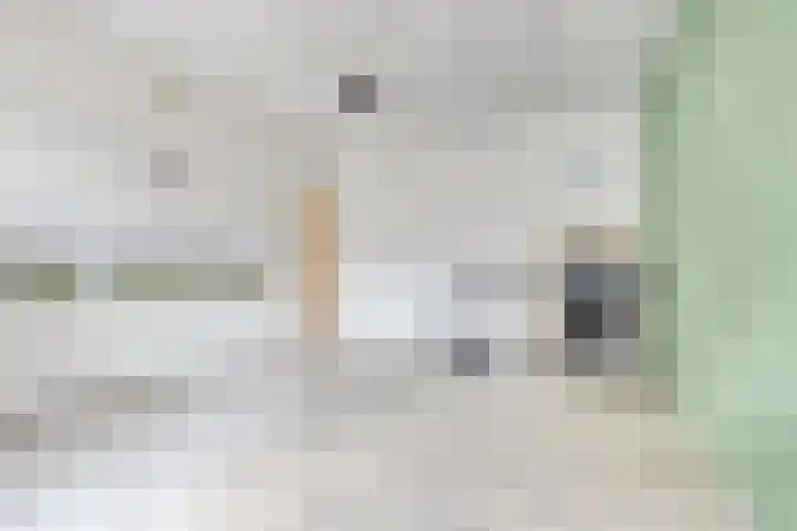 Kasteel-Traverse 112 Helmond thumbnail 5