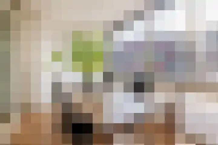 Kasteel-Traverse 130 Helmond thumbnail 18