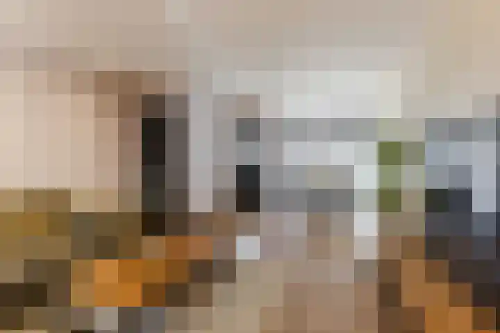 Kasteeldreef 26 Tilburg thumbnail 4