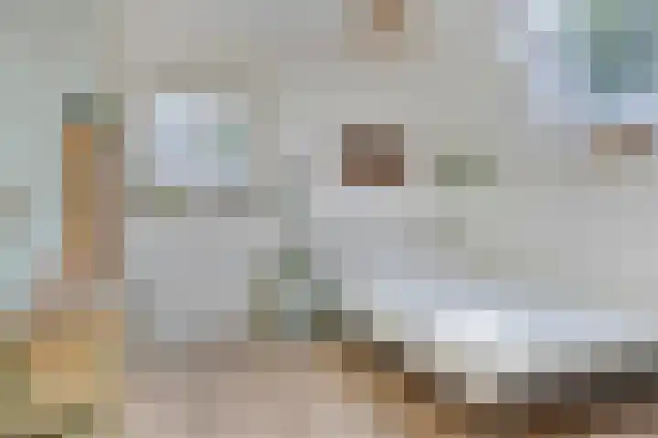 Kasteeldreef 35 A Drunen thumbnail 24