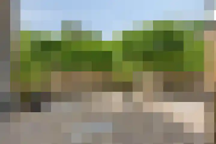 Kasteeldreef 35 A Drunen thumbnail 29