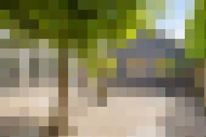 Kasteeldreef 35 A Drunen thumbnail 30