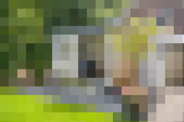Kasteeldreef 35 A Drunen thumbnail 31