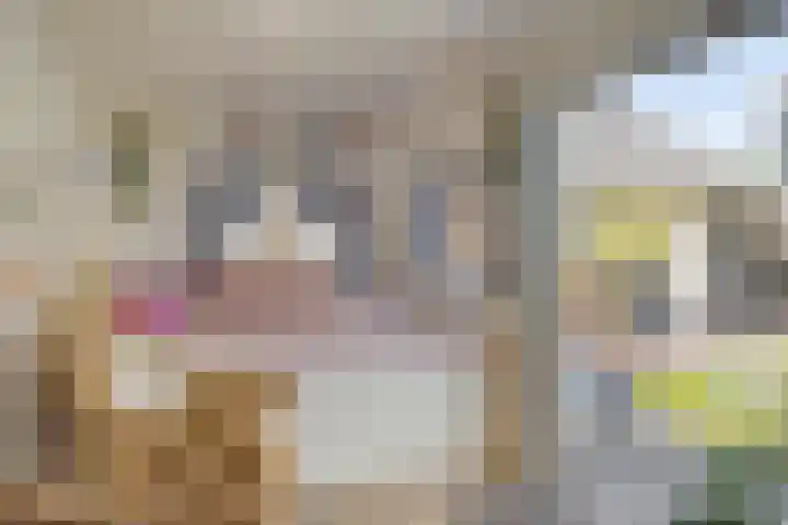 Kasteeldreef 35 A Drunen thumbnail 33