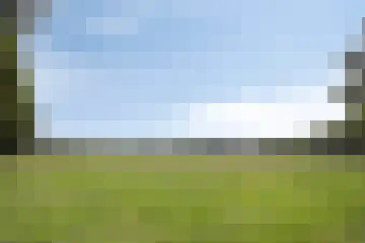 Kasteeldreef 35 A Drunen thumbnail 39