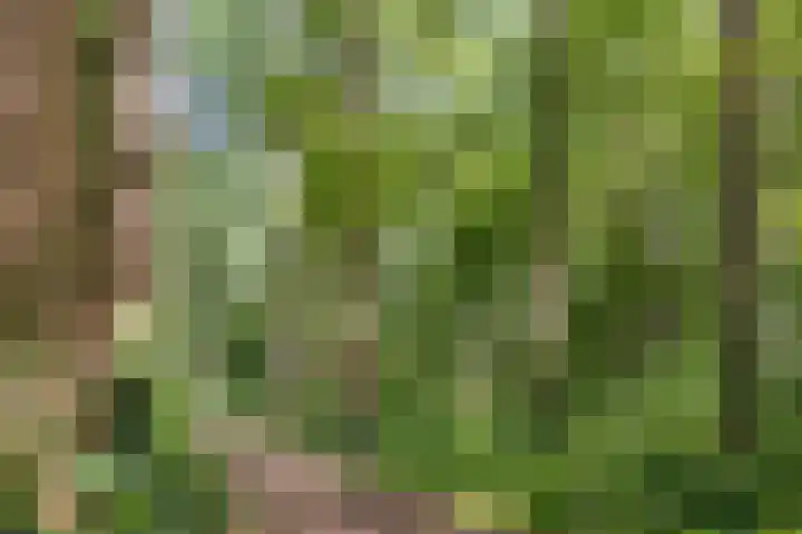 Kasteeldreef 35 A Drunen thumbnail 40