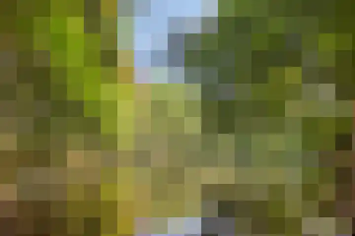 Kasteeldreef 35 A Drunen thumbnail 43