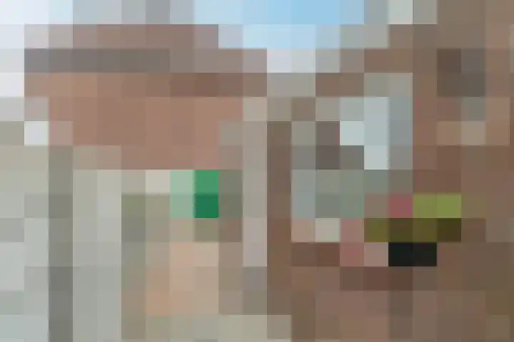 Kasteeldreef 58 Tilburg thumbnail 24
