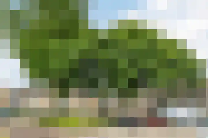 Kasteeldreef 58 Tilburg thumbnail 28