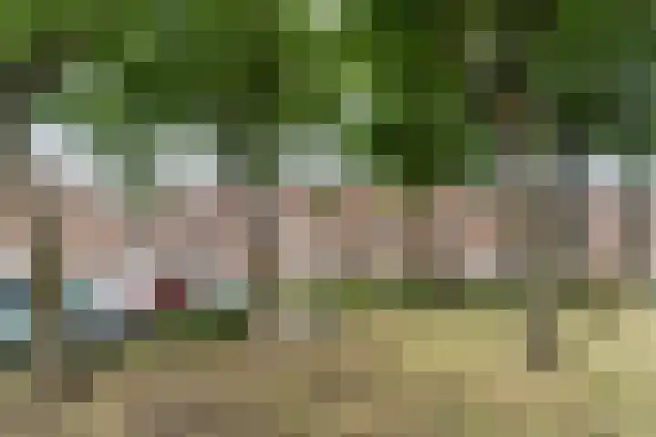 Kasteeldreef 58 Tilburg thumbnail 29