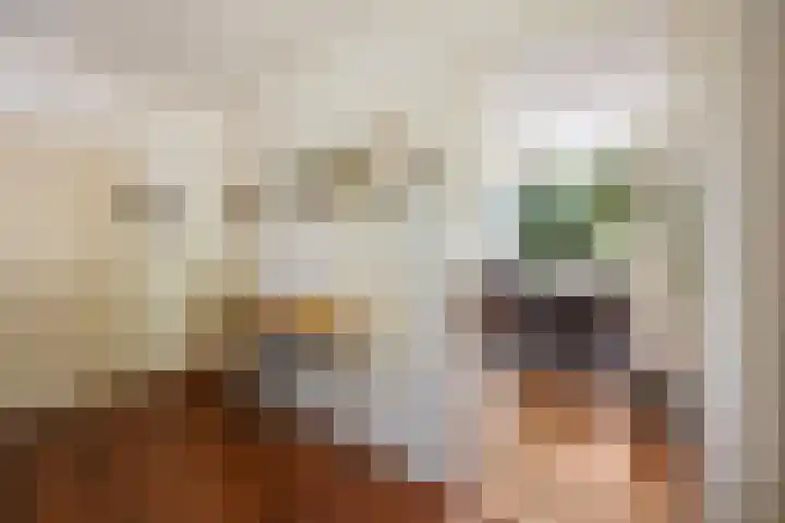 Kasteellaan 1 Druten thumbnail 10