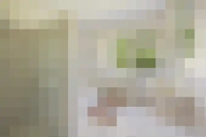 Kasteellaan 1 Druten thumbnail 17