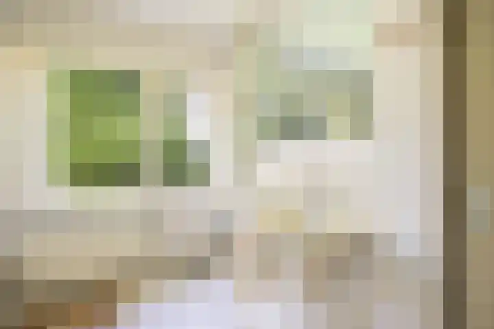 Kasteellaan 1 Druten thumbnail 18