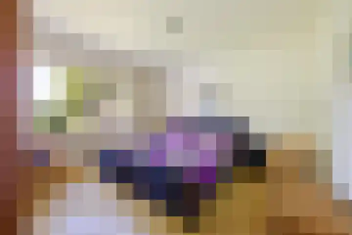 Kasteellaan 1 Druten thumbnail 21