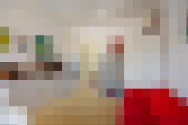 Kasteellaan 1 Druten thumbnail 24