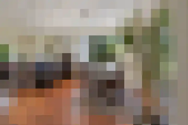 Kasteellaan 1 Druten thumbnail 9