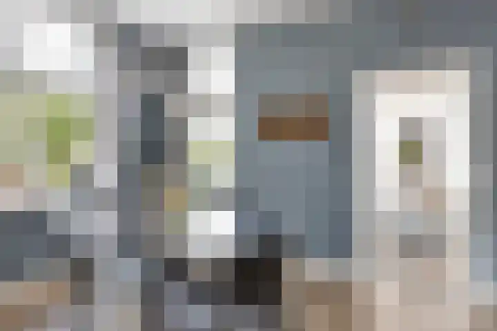 Kasteellaan 135 Wijchen thumbnail 13