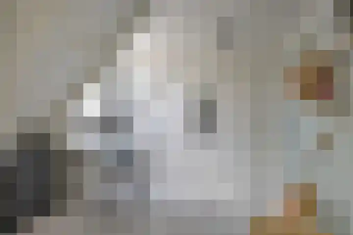 Kasteellaan 135 Wijchen thumbnail 31