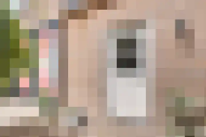 Kasteellaan 135 Wijchen thumbnail 36