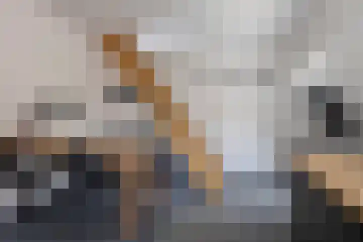 Kasteellaan 135 Wijchen thumbnail 39