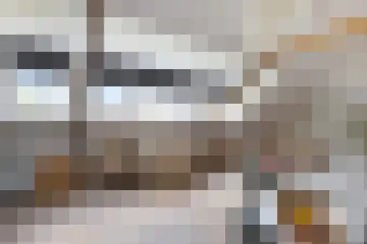Kasteellaan 135 Wijchen thumbnail 41