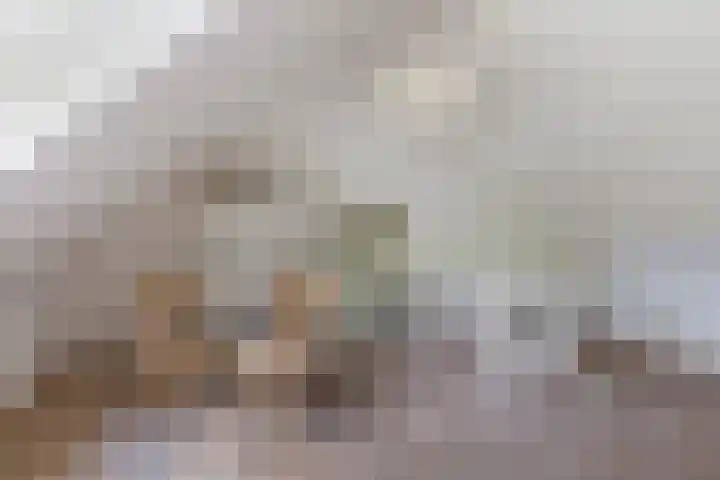 Kasteellaan 135 Wijchen thumbnail 43