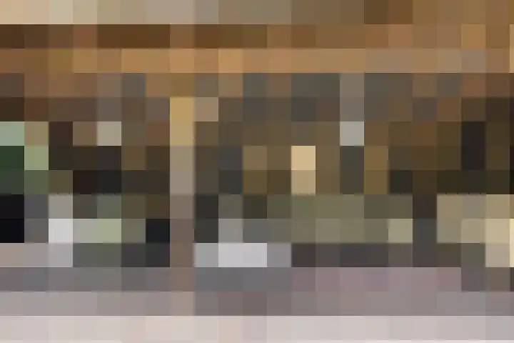 Kasteellaan 135 Wijchen thumbnail 46