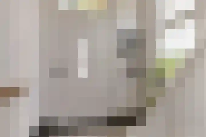 Kasteellaan 135 Wijchen thumbnail 7