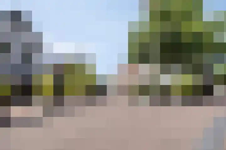 Kasteellaan 26 W Wijchen thumbnail 36