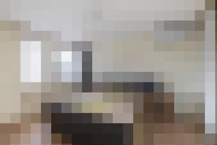 Kasteellaan 39 Tegelen thumbnail 31