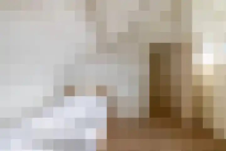 Kasteellaan 39 Tegelen thumbnail 41