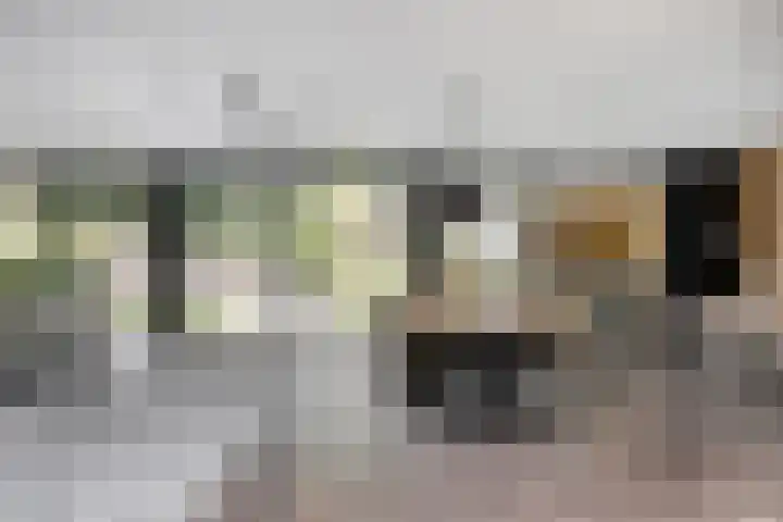 Kasteellaan 8 Well L thumbnail 10