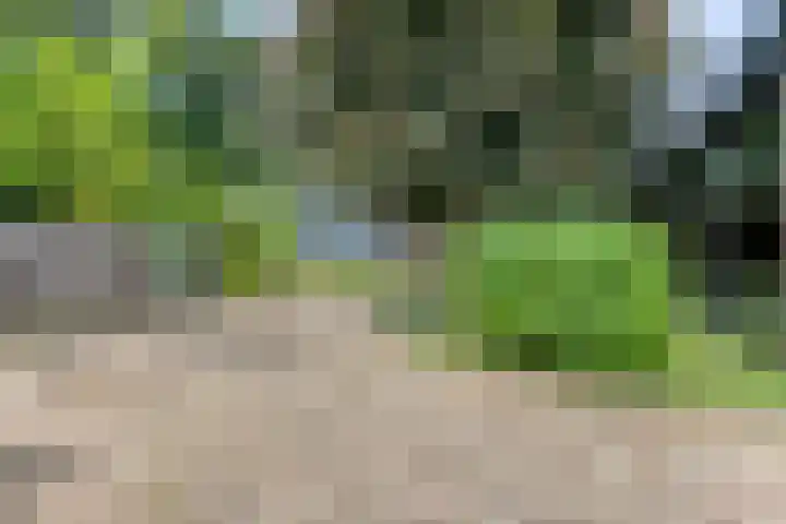 Kasteellaan 8 Well L thumbnail 38