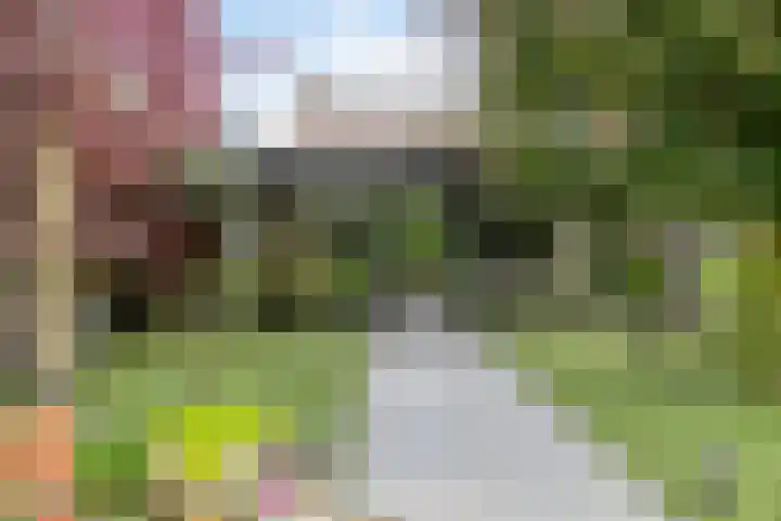 Kasteellaan 8 Well L thumbnail 43